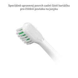 TrueLife SonicBrush T100