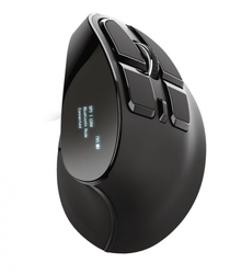 Trust Voxx Rechargeable Ergonomic Wireless Mouse