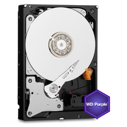 WD Purple 4TB