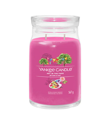 Yankee Candle Art In The Park 567g