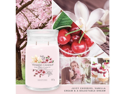 Yankee Candle Pink Cherry & Vanilla 368g