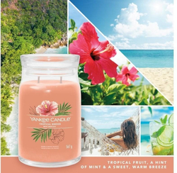 Yankee Candle Tropical Breeze 368g